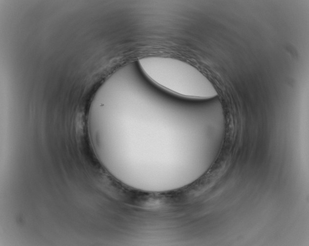 X0000113590612200909181049