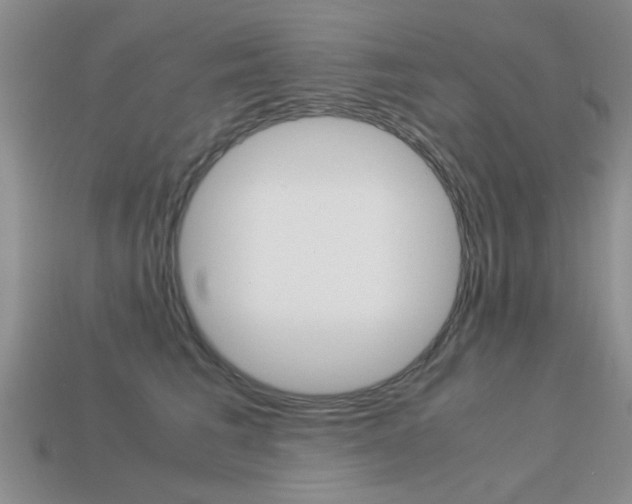 X0000113590613200909181049