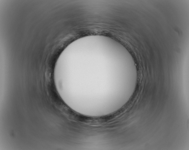 X0000113590615200909181049