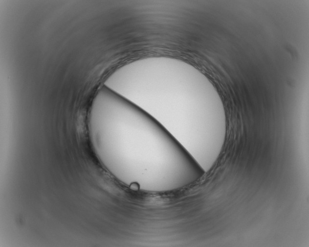 X0000113590616200909181049