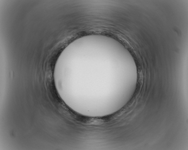 X0000113590617200909181049