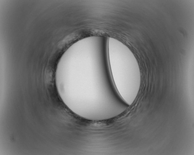 X0000113590619200909181049