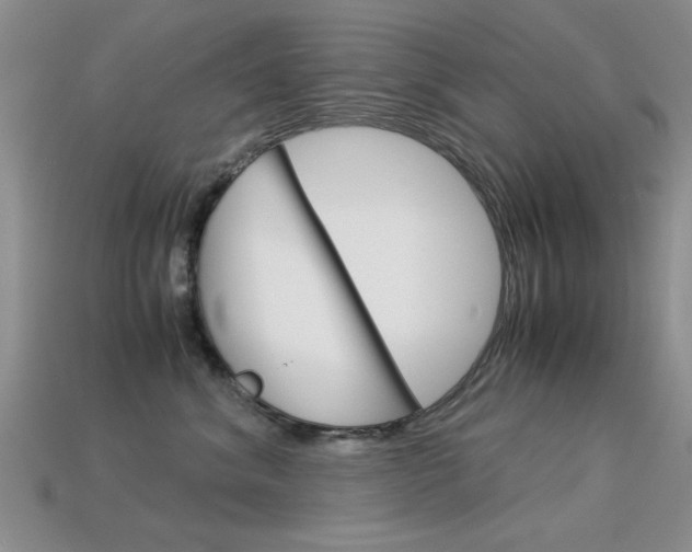 X0000113590620200909181049