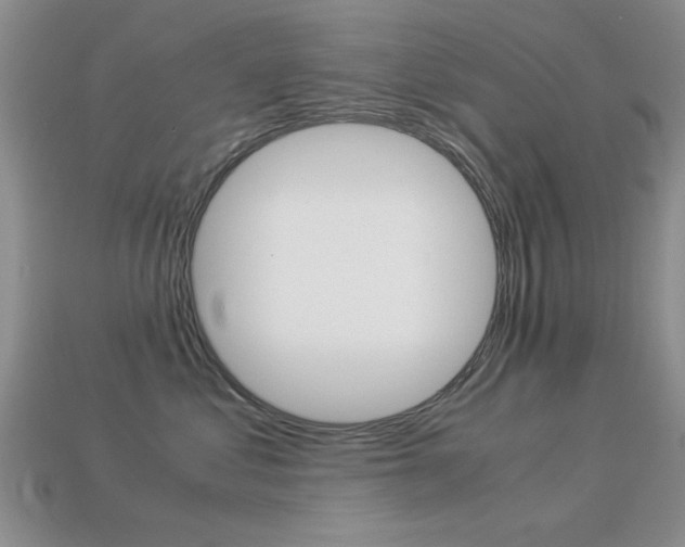 X0000113590621200909181049