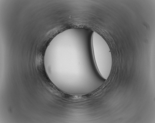 X0000113590623200909181049