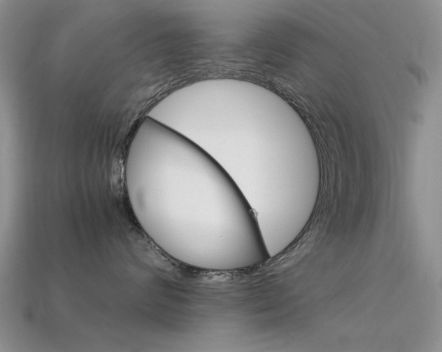 X0000113590624200909181049