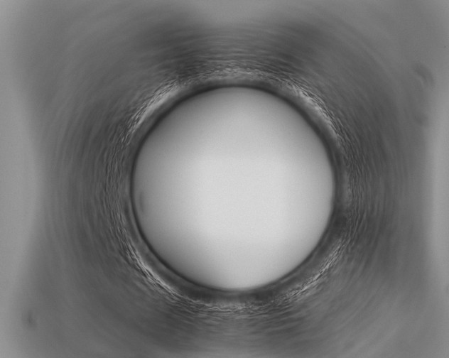 X0000113590625200909181048