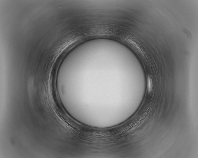 X0000113590627200909181048