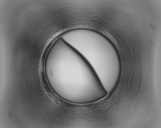X0000113590628200909181048