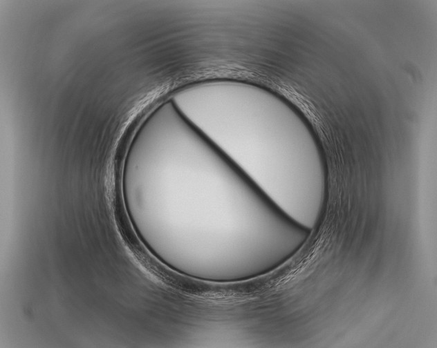 X0000113590630200909181049