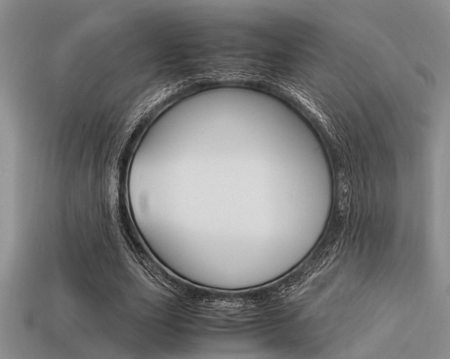 X0000113590631200909181049