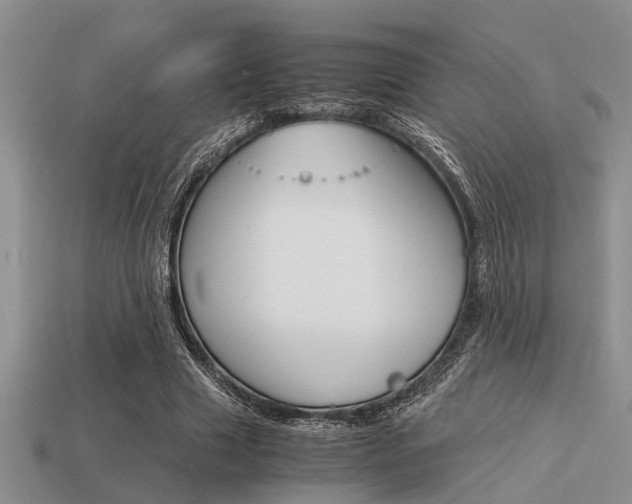 X0000113590633200909181049
