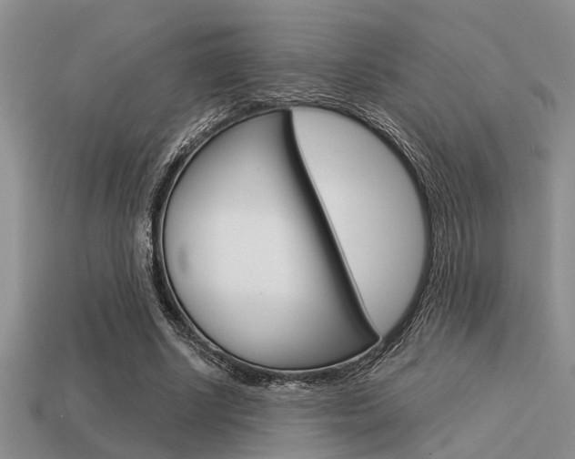 X0000113590634200909181049