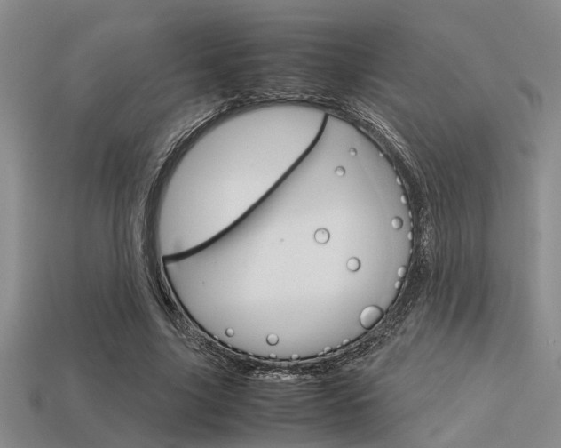 X0000113590635200909181049