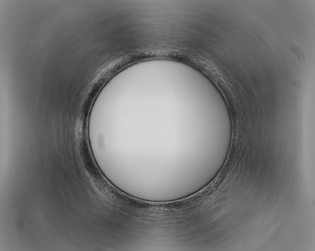 X0000113590636200909181049
