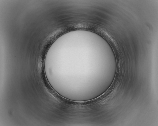 X0000113590637200909181049