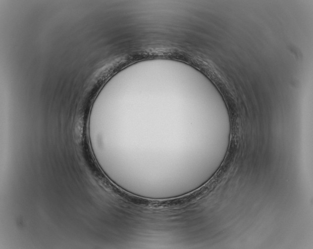 X0000113590640200909181049