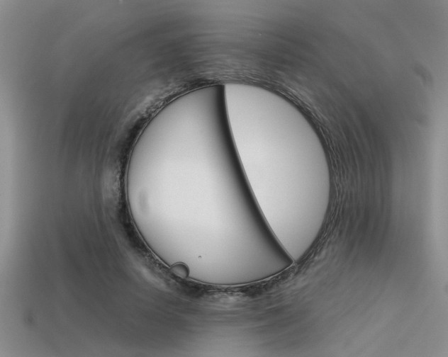 X0000113590642200909181049