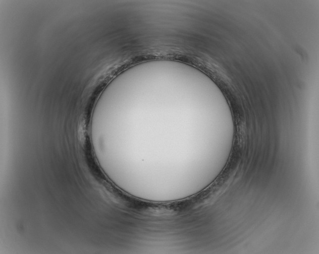 X0000113590644200909181049