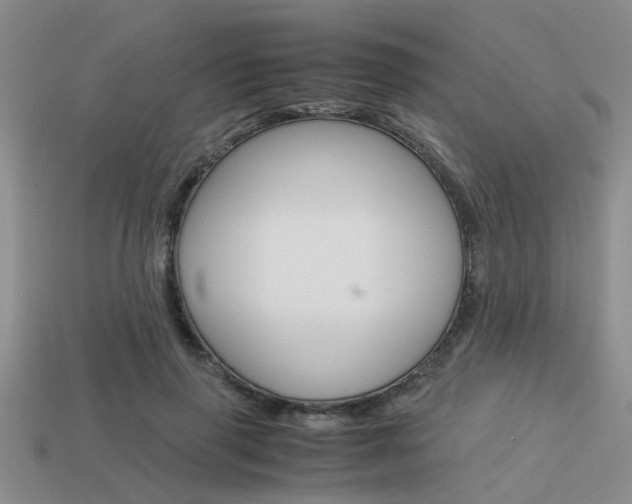 X0000113590645200909181049
