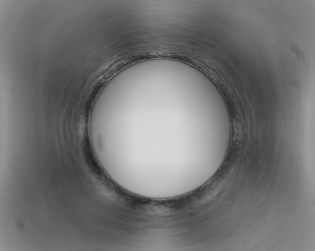 X0000113590648200909181049