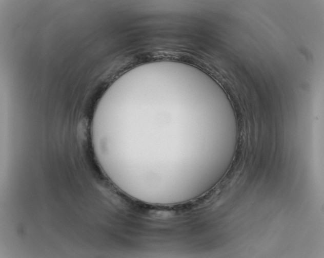 X0000113590649200909181049