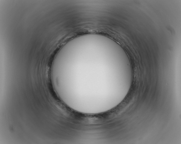 X0000113590650200909181049