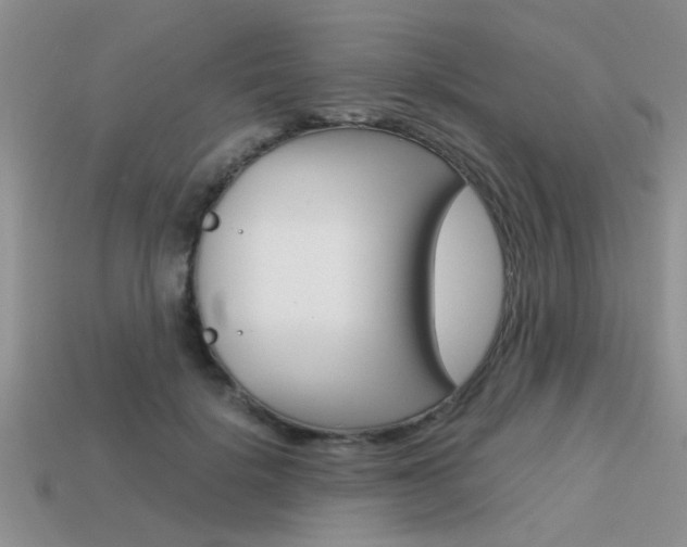 X0000113590652200909181049