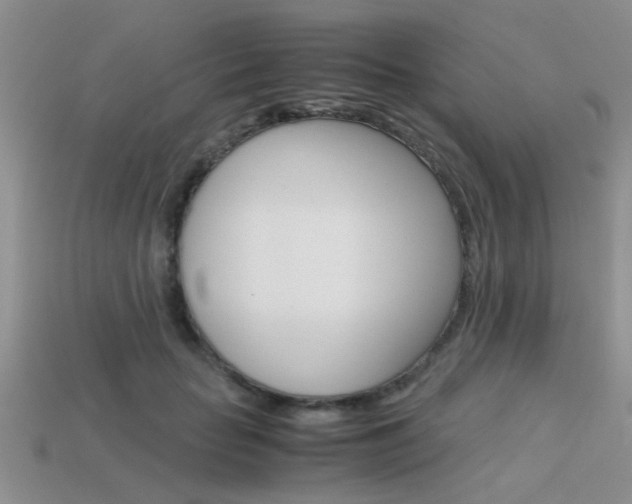 X0000113590653200909181049