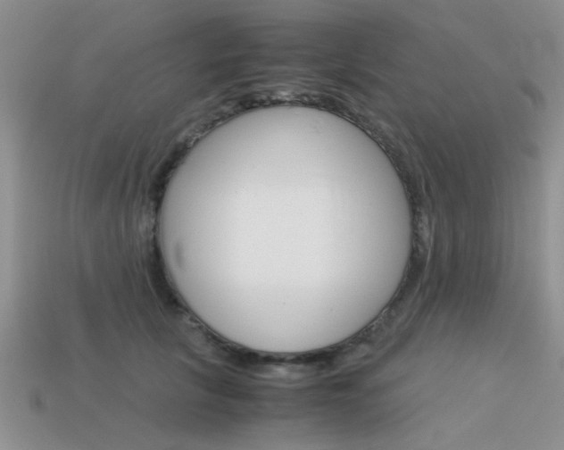 X0000113590657200909181049