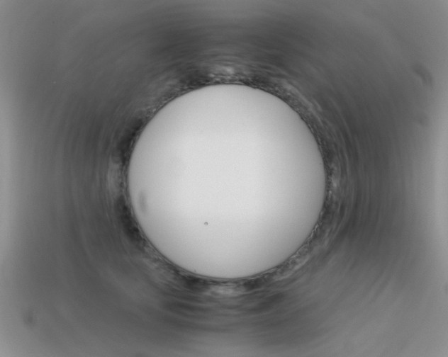 X0000113590659200909181049