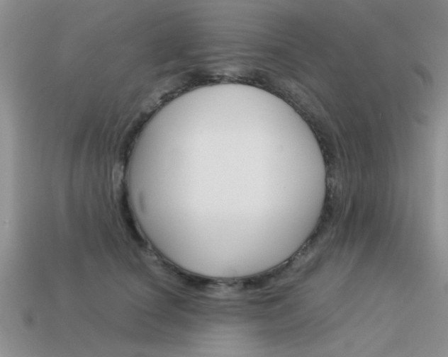 X0000113590660200909181049