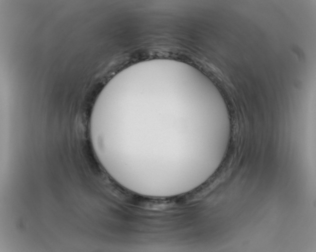 X0000113590661200909181049