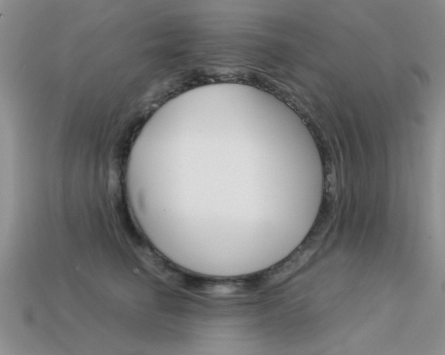 X0000113590662200909181049