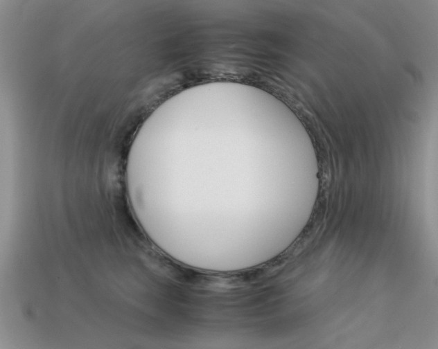 X0000113590663200909181049