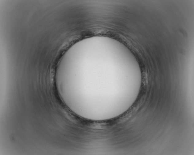 X0000113590664200909181049