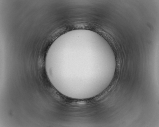 X0000113590665200909181049
