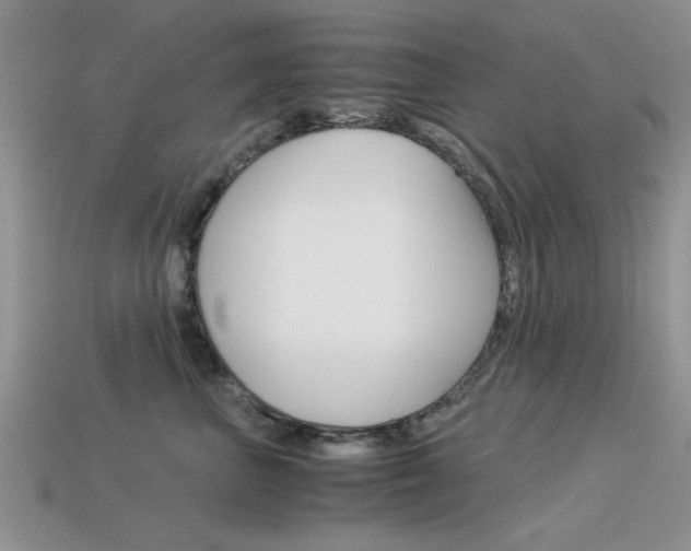 X0000113590667200909181049