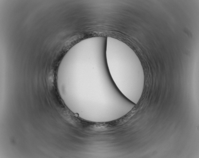 X0000113590668200909181049