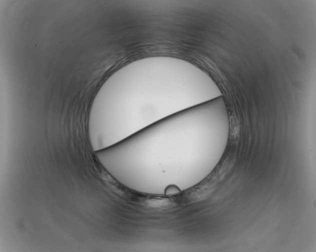 X0000113590669200909181049