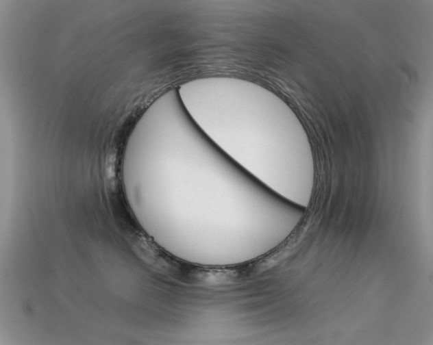 X0000113590670200909181049