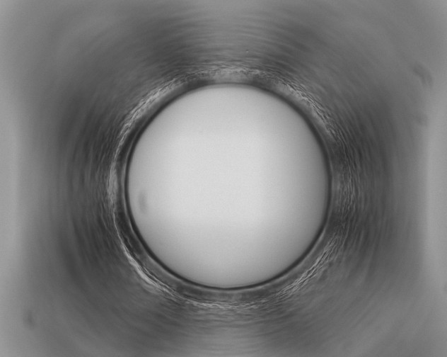 X0000113590674200909181048