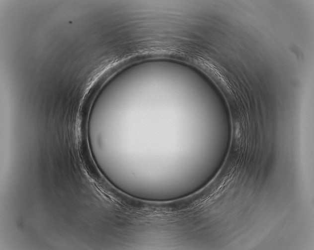 X0000113590676200909181048