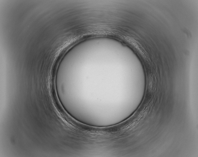 X0000113590677200909181048