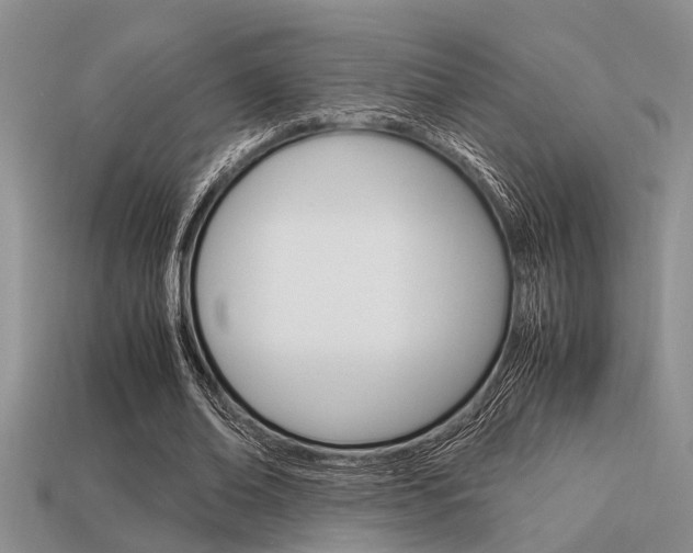 X0000113590678200909181048