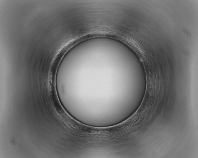 X0000113590680200909181048