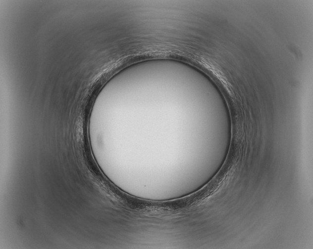X0000113590681200909181048