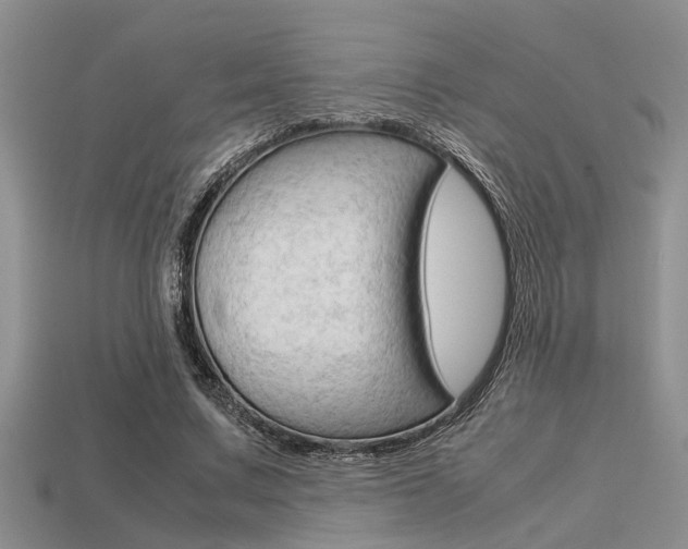 X0000113590683200909181048
