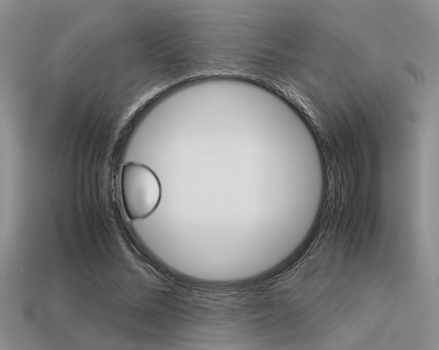 X0000113590684200909181048