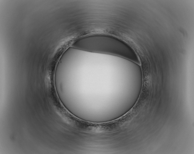 X0000113590688200909181048